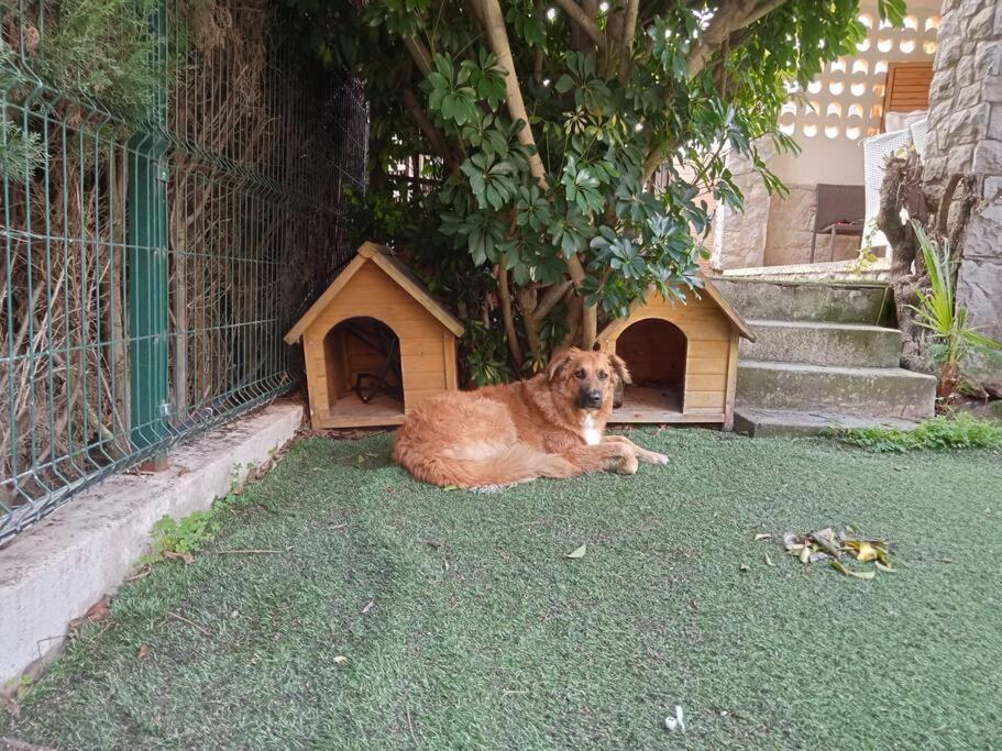 Adosado Al Lado Del Torreon Villa Benicàssim Eksteriør billede